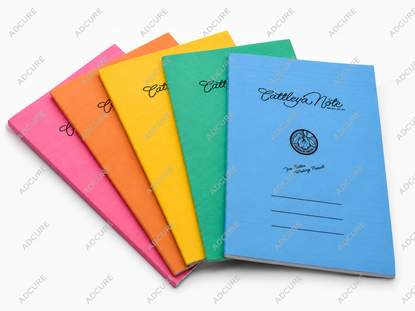 Cattleya Classic Binder Filler – Mini, Small & Big Size (5 Pieces)