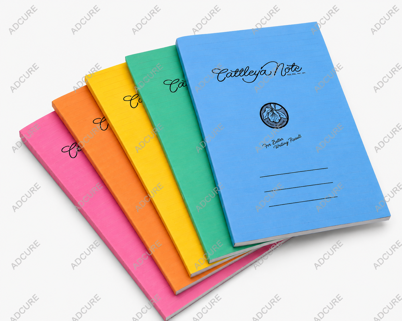 Cattleya Classic Binder Filler – Mini, Small & Big Size (5 Pieces)